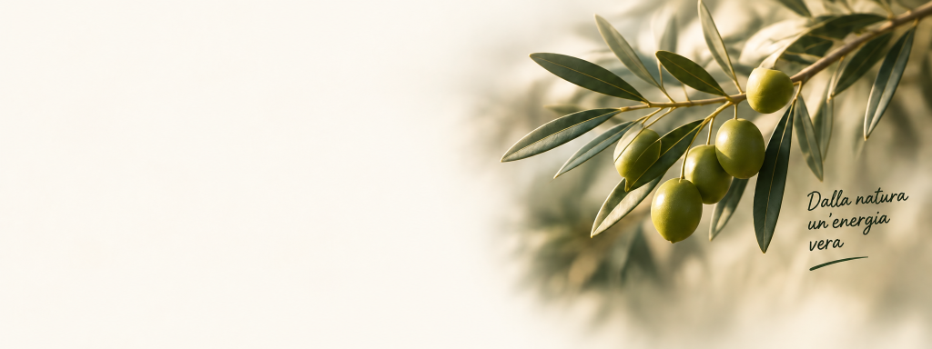 Ramo di ulivo con olive e claim: Dalla natura un'energia vera